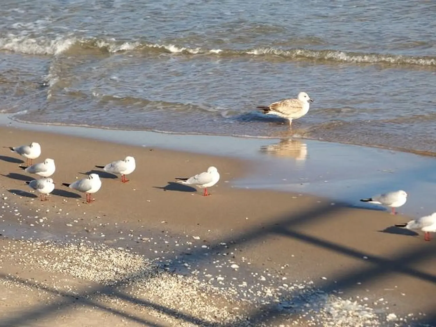 Ostseebad Göhren mit Meerblick